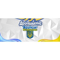 Вибір ніші з дропшипінгу Вибір ніші з дропшипінгу